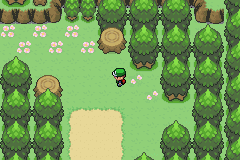 Pokemon New Beyond GBA ROM Hacks 