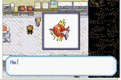 Pokemon Revenge of the Karp GBA ROM Hacks 