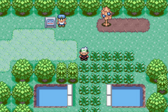 Emerald Renewal GBA ROM Hacks 