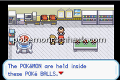 Pkmn 100 GBA ROM Hacks 