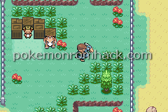 PokeScape GBA ROM Hacks 