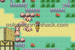 PokeScape GBA ROM Hacks 