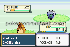 PokeScape GBA ROM Hacks 