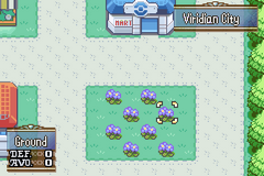 Pokemblem GBA ROM Hacks 