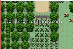 Pokemon 0x800000 GBA ROM Hacks 