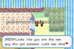 Pokemon A Legend Tale GBA ROM Hacks 