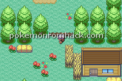 Pokemon Aurora Fire Red GBA ROM Hacks 