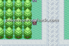 Pokemon Aurora Fire Red GBA ROM Hacks 