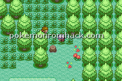 Pokemon Aurora Fire Red GBA ROM Hacks 