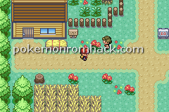 Pokemon Aurora Fire Red GBA ROM Hacks 