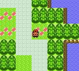 Pokemon: Awakened Legends GBC ROM Hacks 