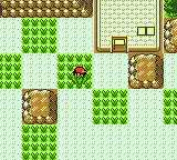 Pokemon: Awakened Legends GBC ROM Hacks 