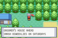 Pokemon Awesome Version XD GBA ROM Hacks 