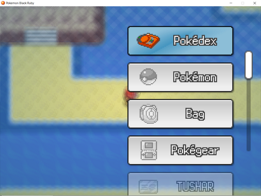 Pokemon Black Ruby RMXP Hacks 