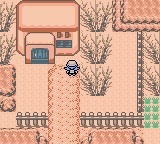 Pokemon Black and White 3: Genesis GBC ROM Hacks 