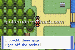 Pokemon Bonds GBA ROM Hacks 