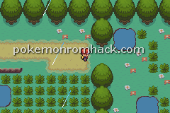 Pokemon Burning FireRed GBA ROM Hacks 