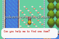 Pokemon Burning FireRed GBA ROM Hacks 