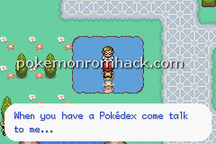 Pokemon Burning FireRed GBA ROM Hacks 