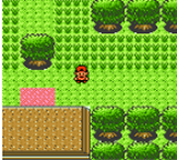 Pokemon Ceylon Version GBC ROM Hacks 