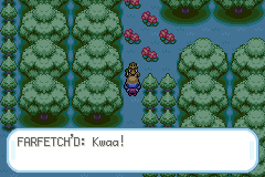 Pokemon Crystal Dust 2020 GBA ROM Hacks 