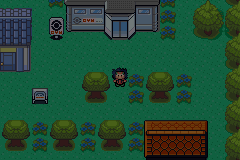 Pokemon DarkCopper GBA ROM Hacks 