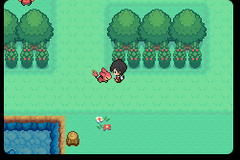 Pokemon Dark Worship (GBA) Download - PokéHarbor