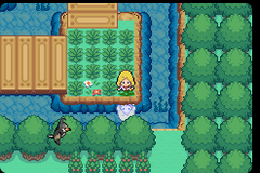 Pokemon Dark Worship (GBA) Download - PokéHarbor