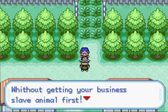 Pokemon Different GBA ROM Hacks 