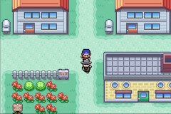 Pokemon Different GBA ROM Hacks 