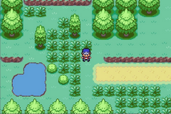 Pokemon Different GBA ROM Hacks 