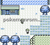 Pokemon EDM Version GBC ROM Hacks 