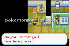 Pokemon Earth Version GBA ROM Hacks 