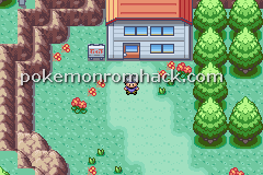 Pokemon Earth Version GBA ROM Hacks 