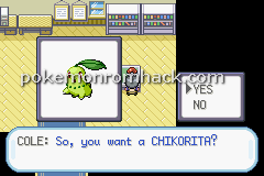 Pokemon Earth Version GBA ROM Hacks 