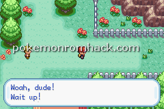 Pokemon Earth Version GBA ROM Hacks 