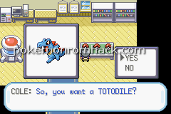 Pokemon Earth Version GBA ROM Hacks 