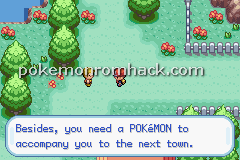 Pokemon Earth Version GBA ROM Hacks 