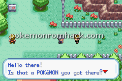 Pokemon Earth Version GBA ROM Hacks 