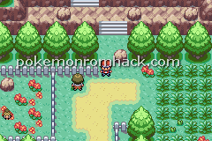 Pokemon Earth Version GBA ROM Hacks 