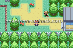 Pokemon Earth Version GBA ROM Hacks 