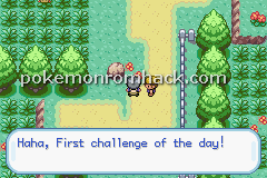 Pokemon Earth Version GBA ROM Hacks 