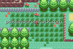 Pokemon Earth Version GBA ROM Hacks 