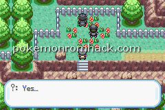 Pokemon Earth Version GBA ROM Hacks 