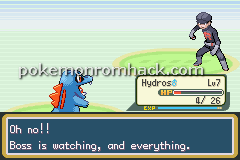 Pokemon Earth Version GBA ROM Hacks 