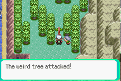 pokémon emerald version