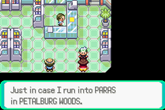 Pokemon Emerald 2 GBA ROM Hacks 