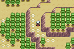 how to grow berries in pokemon emerald emulator