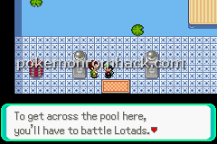 pokemon emerald download rom