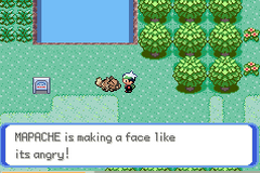 Pokemon Emerald Cross GBA ROM Hacks 